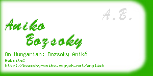 aniko bozsoky business card